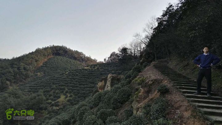 老和山~龙井~河坊街未命名