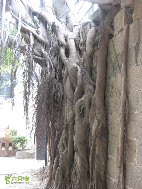 2015-11-9-4福建厦门胡里山炮台-中餐购物中心IMG_1091.r