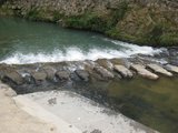 IMG_0733