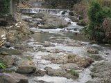 IMG_0735