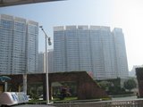 IMG_0771