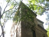 IMG_0924