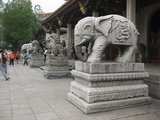IMG_1039