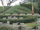 IMG_1056