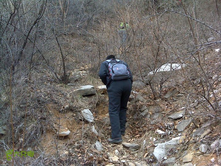 马家岩变山朝阳圪针林DSC05117