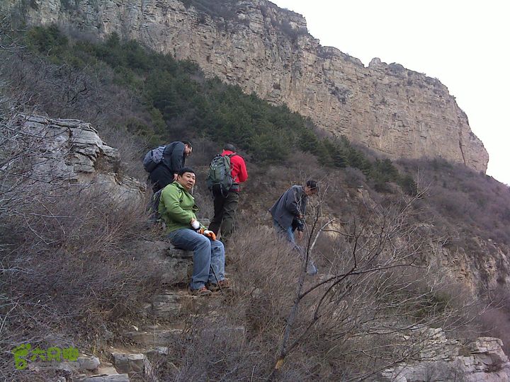 马家岩变山朝阳圪针林DSC05118