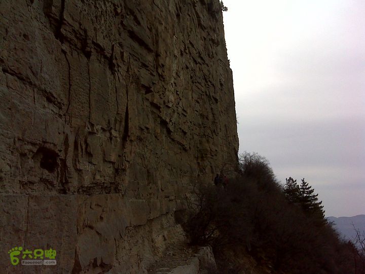 马家岩变山朝阳圪针林DSC05119