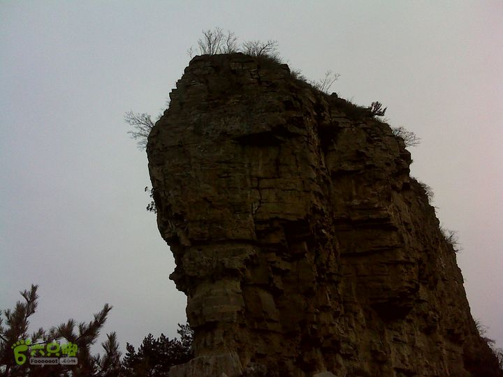 马家岩变山朝阳圪针林DSC05129