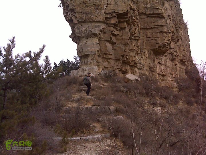 马家岩变山朝阳圪针林DSC05130