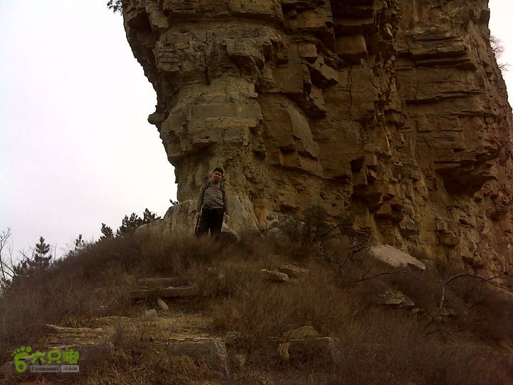 马家岩变山朝阳圪针林DSC05131