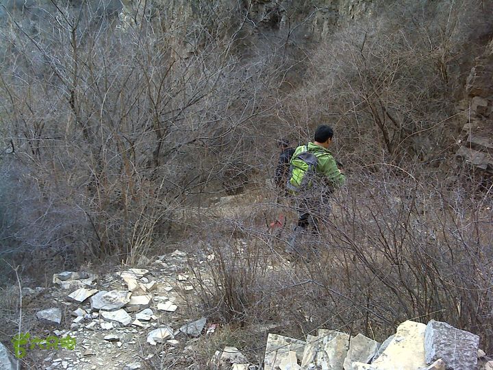 马家岩变山朝阳圪针林DSC05132