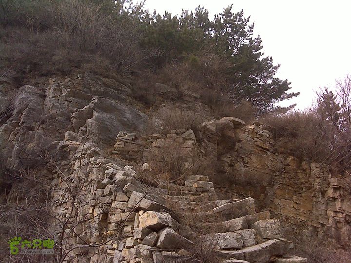 马家岩变山朝阳圪针林DSC05133