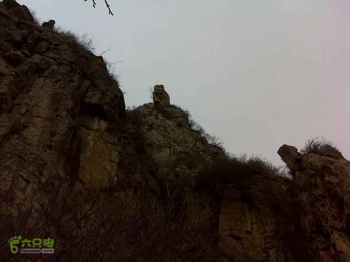 马家岩变山朝阳圪针林DSC05134