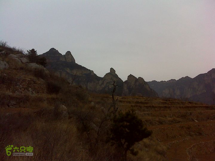 马家岩变山朝阳圪针林DSC05135