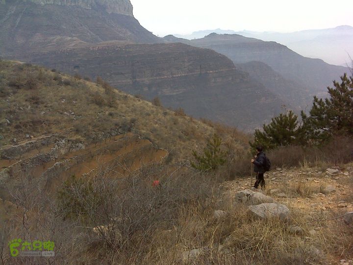 马家岩变山朝阳圪针林DSC05136