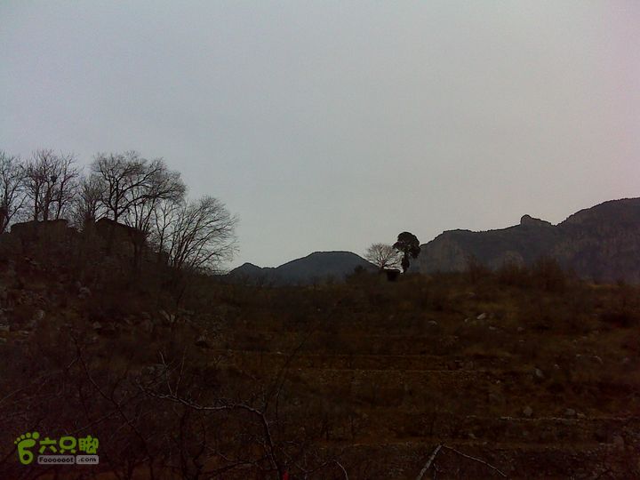 马家岩变山朝阳圪针林DSC05137