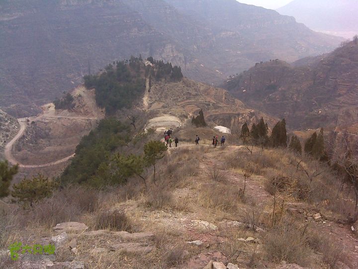 马家岩变山朝阳圪针林DSC05138