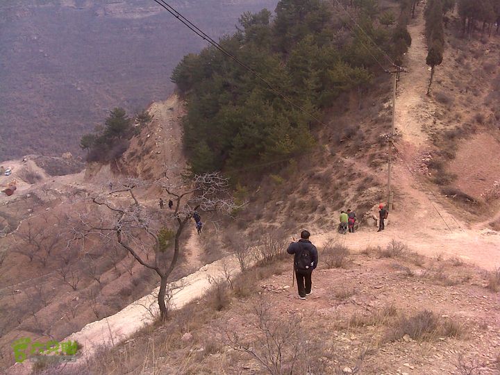 马家岩变山朝阳圪针林DSC05139