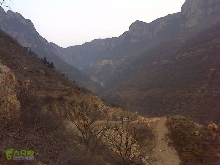 马家岩变山朝阳圪针林DSC05140