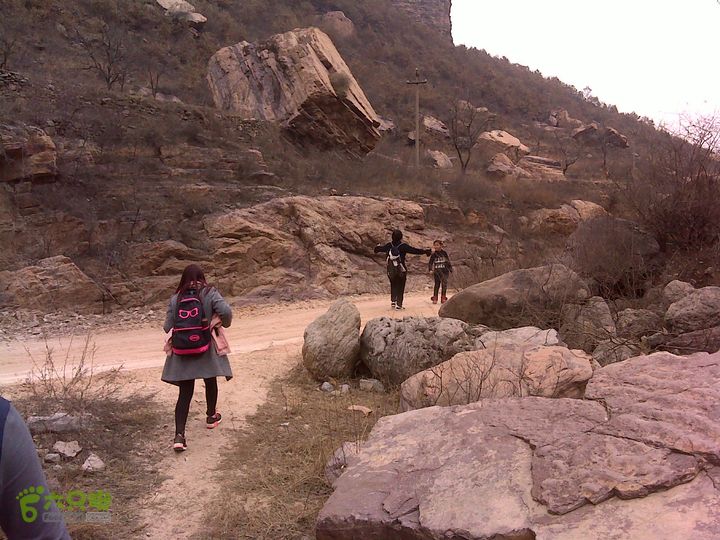 马家岩变山朝阳圪针林DSC05141