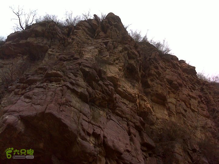 马家岩变山朝阳圪针林DSC05142