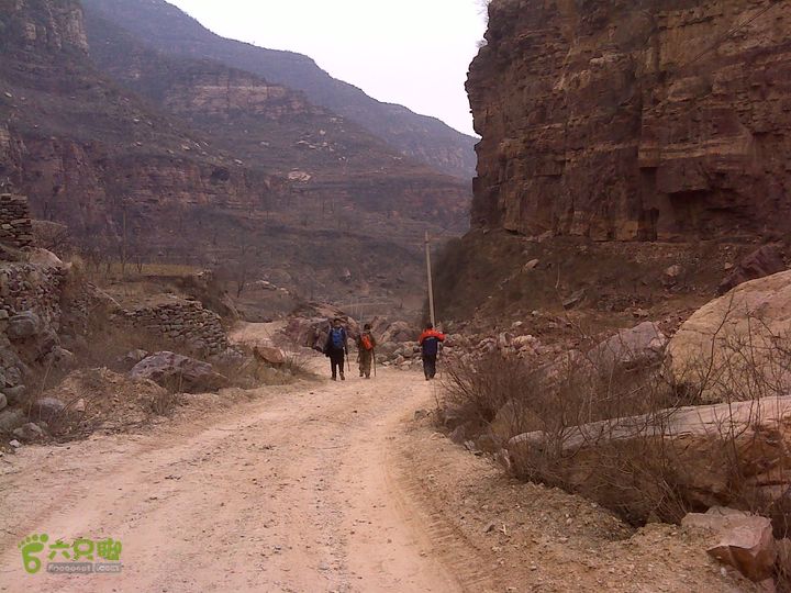 马家岩变山朝阳圪针林DSC05143