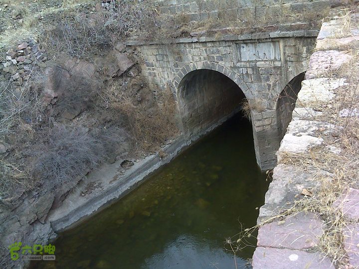 马家岩变山朝阳圪针林DSC05151