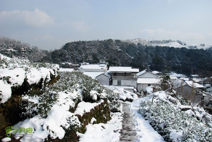 十里琅珰踏雪DSC_0090