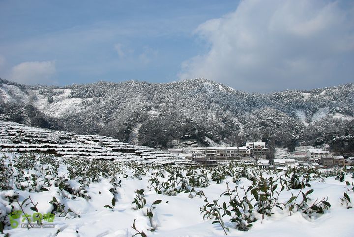 十里琅珰踏雪DSC_0092
