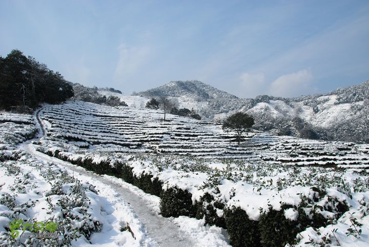 十里琅珰踏雪DSC_0093