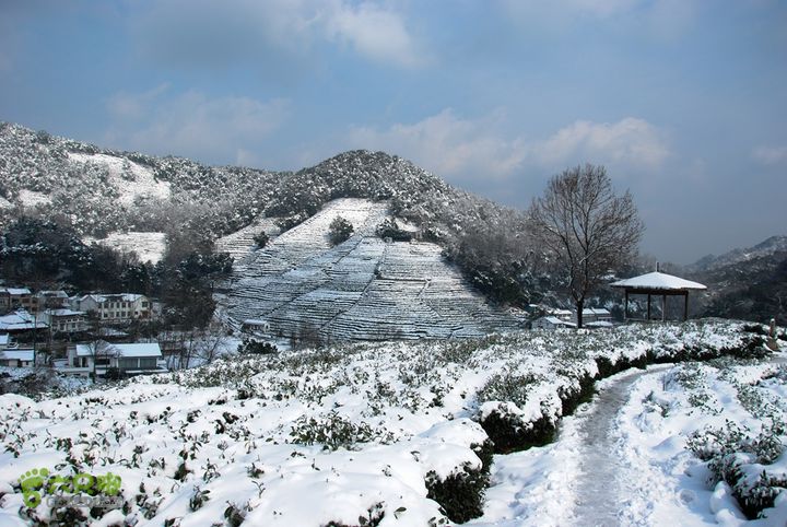 十里琅珰踏雪DSC_0094
