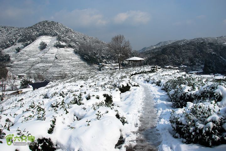 十里琅珰踏雪DSC_0097