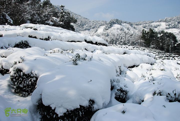 十里琅珰踏雪DSC_0105
