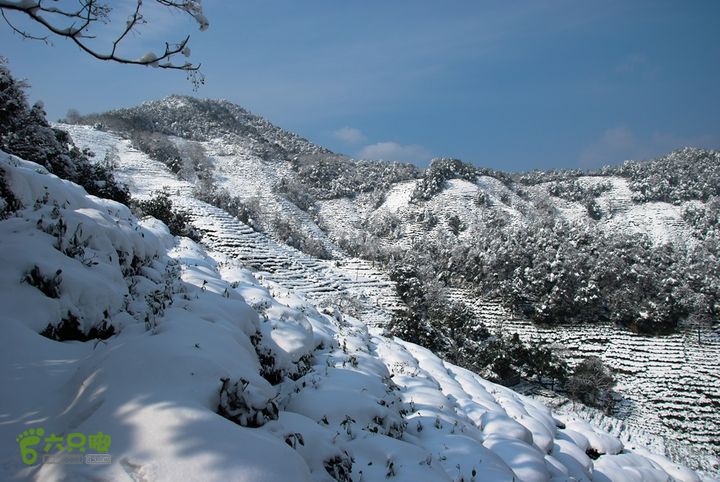 十里琅珰踏雪DSC_0106