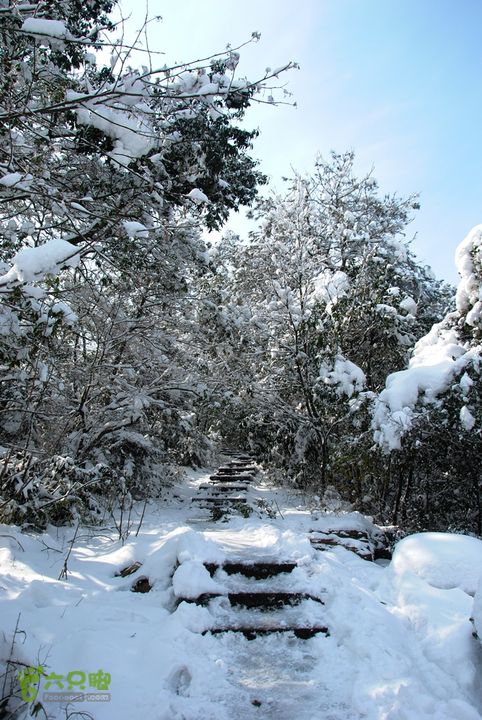 十里琅珰踏雪DSC_0107