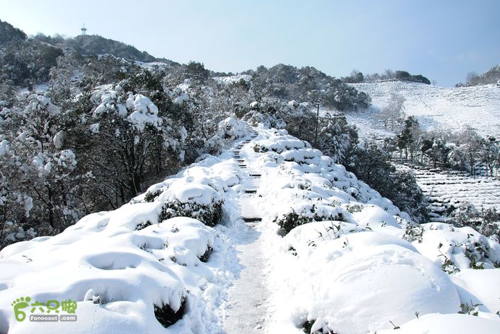 十里琅珰踏雪DSC_0115