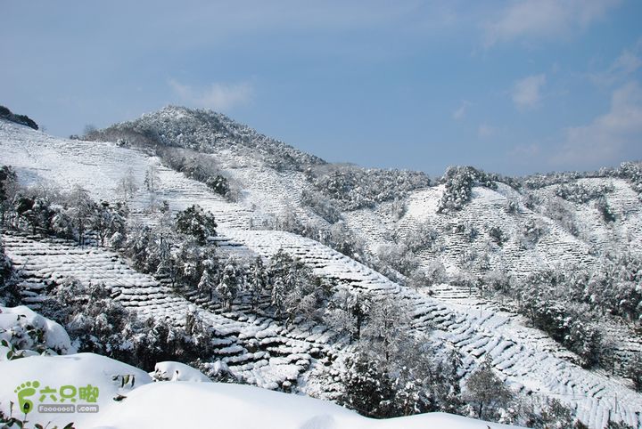 十里琅珰踏雪DSC_0117