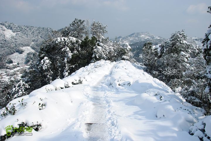 十里琅珰踏雪DSC_0121