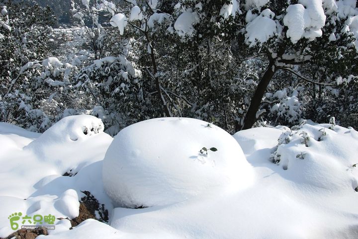 十里琅珰踏雪DSC_0124