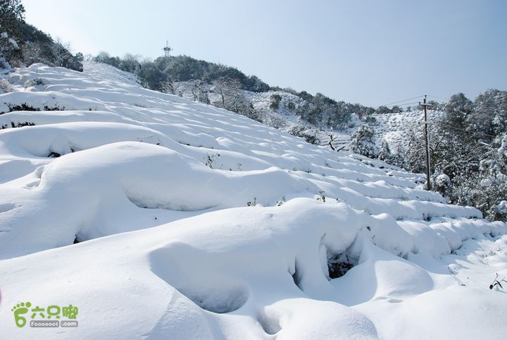十里琅珰踏雪DSC_0126