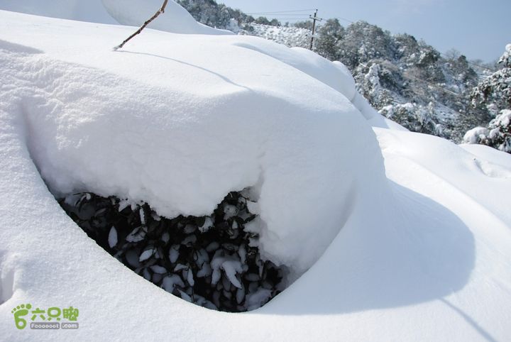 十里琅珰踏雪DSC_0127