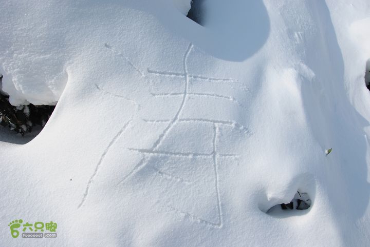 十里琅珰踏雪DSC_0128