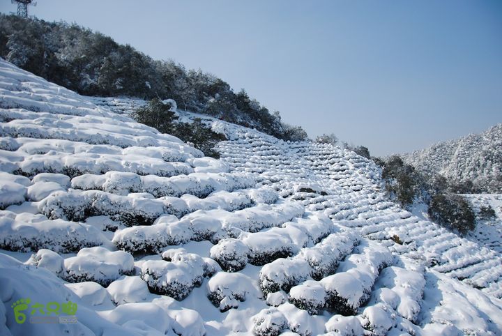 十里琅珰踏雪DSC_0133