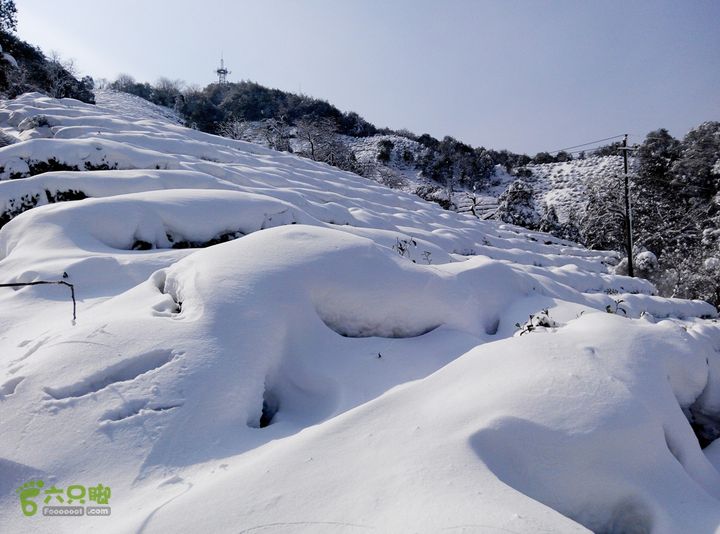 十里琅珰踏雪IMG_20160123_121819