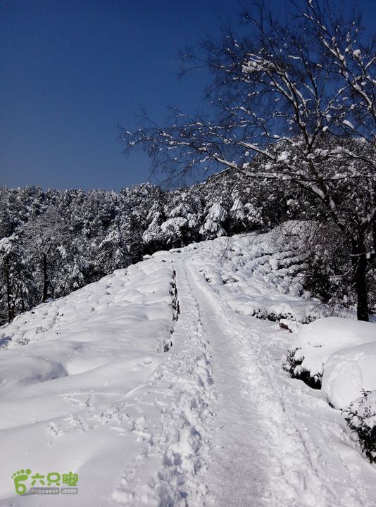 十里琅珰踏雪IMG_20160123_125932