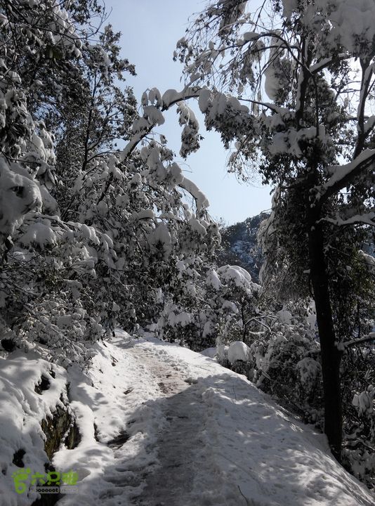 十里琅珰踏雪IMG_20160123_131746