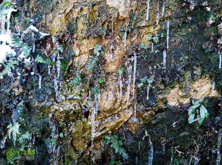 十里琅珰踏雪IMG_20160123_132331