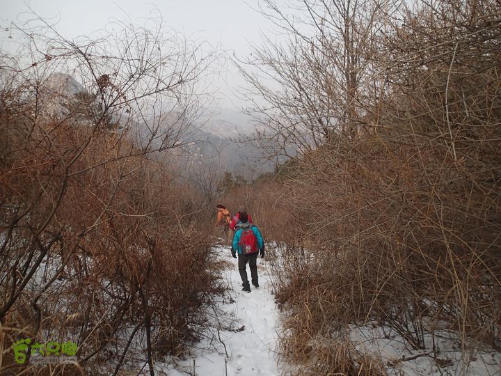 观赏冰瀑:石庙子_彩石溪-云谷禅寺_莲梗峡-莲花圣境P1300222