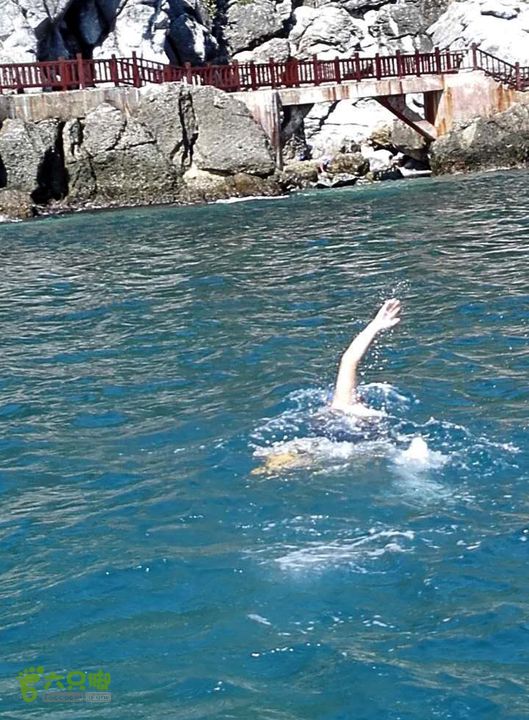 20160203-三亚湾游泳队十公里挑战鹿回头角外海域海中游