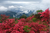 沙漠0815